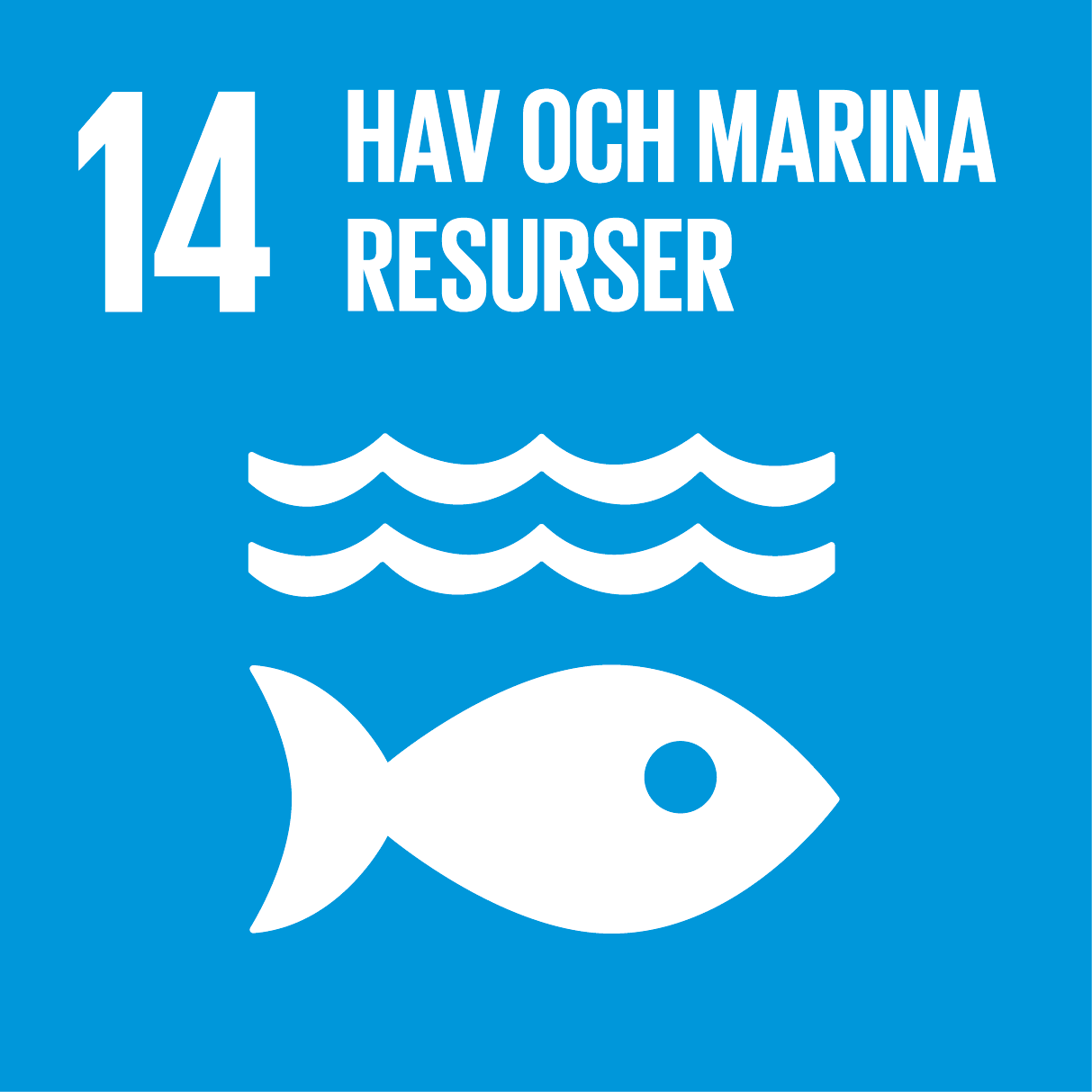Globala målen - mål nummer 14: Hav och marina resurser